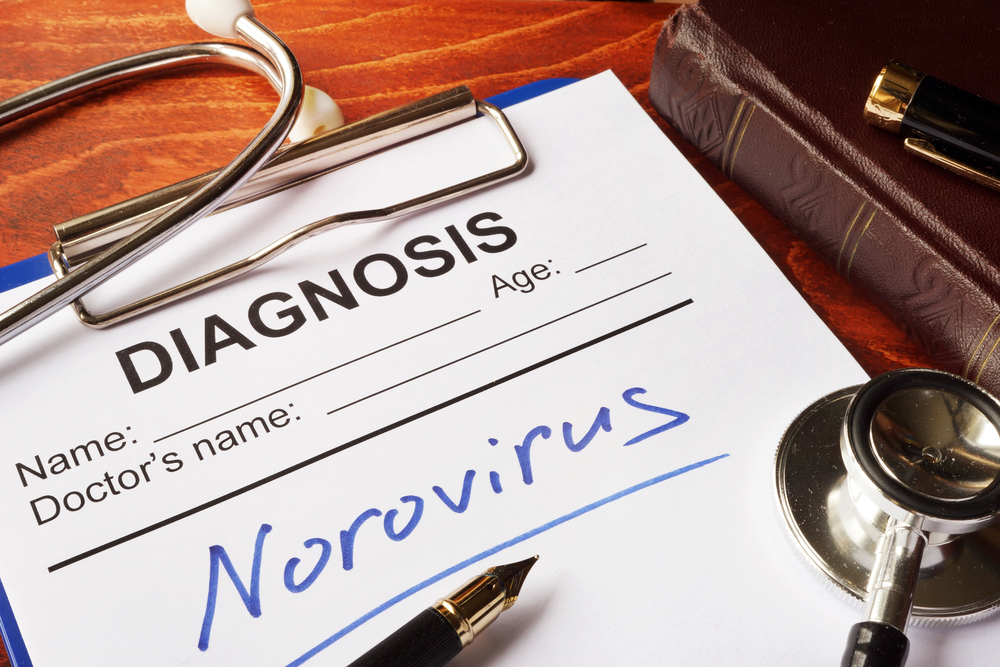 cruise ship illness, norovirus