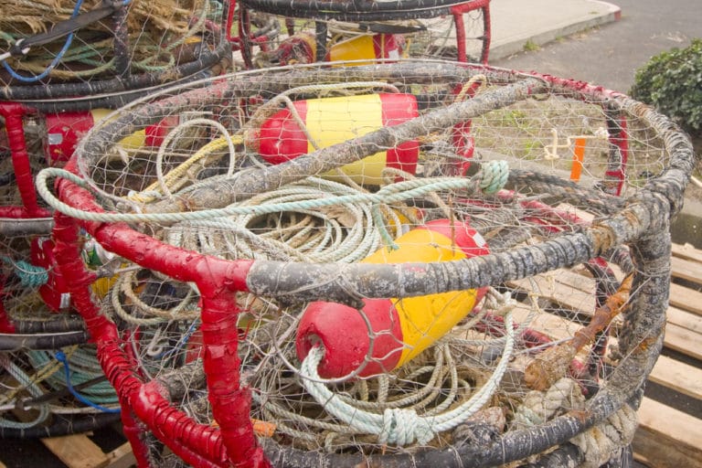 Commercial Fishing Accident Kills Beloved Restaurant Owners - Maritime
